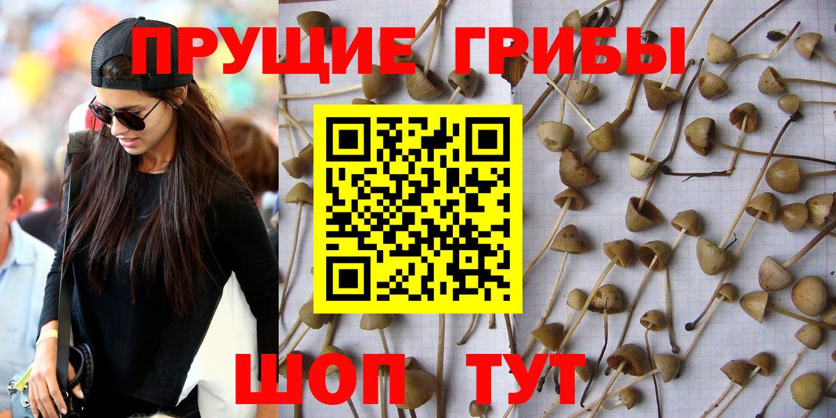 магазин    Вход с VPN  Галлюциногенные грибы MAGIC MUSHROOMS  Кудымкар  Псилоцибиновые грибы мухоморы 