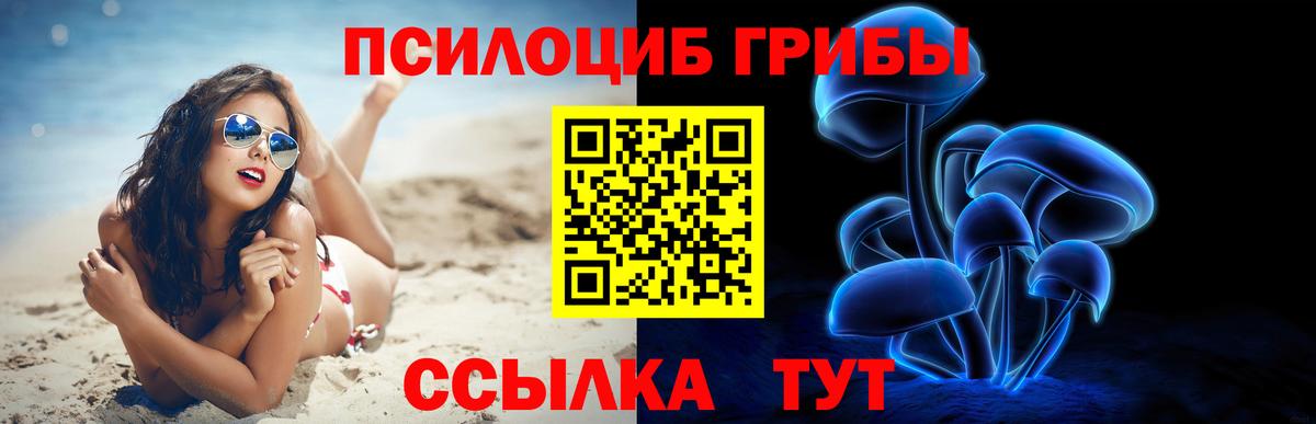 Галлюциногенные грибы GOLDEN TEACHER Кудымкар